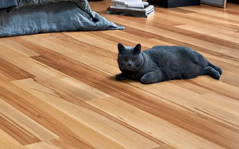 مزایای پارکت لمینت راش